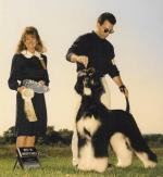 Thumbnail of Sebring Simpatico