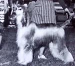 Thumbnail of Dic Mar Houdini of KaDenS