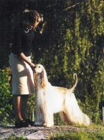 Thumbnail of Tells Lit'l White Lie