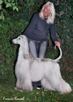 Thumbnail of Risis Du Domaine Des Crepinettes