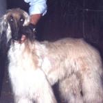 Thumbnail of ZoSo's Heaven's On Fire