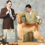 Thumbnail of Real Good Feeling of Meadow Valley