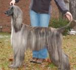 Thumbnail of Kasban American Style