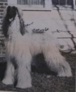 Thumbnail of Charletra's Barclay of Arraby