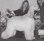 Thumbnail of Rustic's Sabotage In The Sand