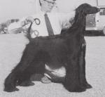 Thumbnail of Summit View Just In Spite