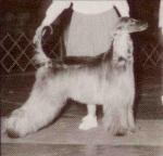 Thumbnail of Kabik's Final Fling