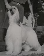 Thumbnail of Abaca Shylo Sachet Sha-Cone