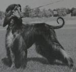 Thumbnail of Coastwind Lucitron