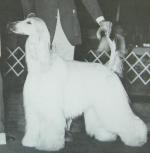 Thumbnail of Abashagh Snowstorm Of Persia