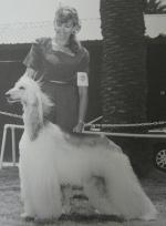 Thumbnail of Abaca's Corvette Of Sha-Cone