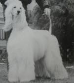 Thumbnail of Mahali Rustic Hot Summer Daze