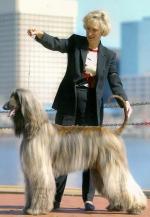 Thumbnail of Kasban Saturday Night Fever