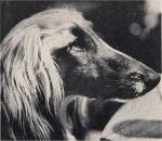 Thumbnail of La Rouge's Penelope