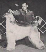 Thumbnail of Forrest Fire Of Cobb's Web