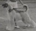 Thumbnail of Ben Haasin's Artic Rose