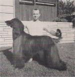 Thumbnail of High Ho's Terrah Czar
