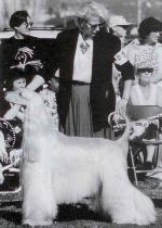 Thumbnail of Pahlavi Pizzazzz