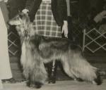 Thumbnail of Kaliquo Kalypso Blue Magic