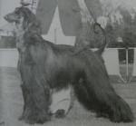 Thumbnail of Primo Dona Goldmine