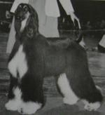 Thumbnail of Kabik's Jajema Original