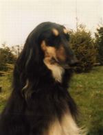 Thumbnail of Tifarah's Charming Act