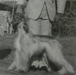 Thumbnail of Genesis All That Jazz