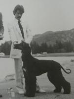 Thumbnail of Beachbrook Manhatan Zuvenda