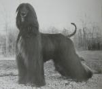 Thumbnail of Karzak's Sand And Cinders