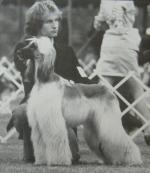 Thumbnail of Karzak's Pocono