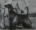 Thumbnail of Kabik's The Devil's Impression