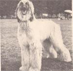 Thumbnail of Anjalou Modesty Blaise