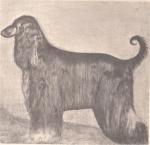 Thumbnail of El Tazzi Mahaprajapati