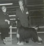 Thumbnail of Kabik's The Sun King