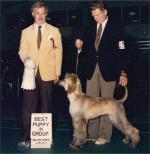 Thumbnail of Spectrums Neat 'N Natural