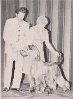 Thumbnail of Alharin Liberty Bell