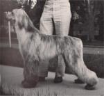 Thumbnail of Coastwind Axcelleration