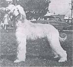 Thumbnail of Scharlau Shahzadi Sherry