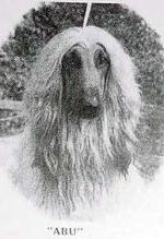 Thumbnail of Harmony's Abu Kir of Kandara
