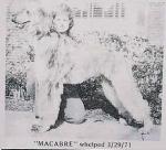 Thumbnail of Macabre The Mystic Of Rock Run