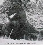 Thumbnail of Sincopation Of Hindamir