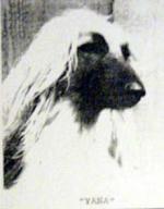 Thumbnail of Ramayana Khadijah