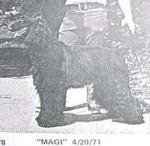 Thumbnail of Kadallah's Sein Majestat