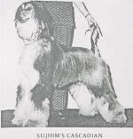 Thumbnail of Sujhim's Cascadian