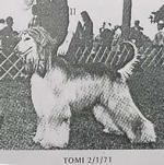 Thumbnail of Chaka's Tomahawk Chev-Charise