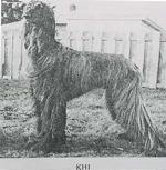 Thumbnail of Ronas Hill Khiva of Mar-Venus