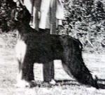 Thumbnail of Shirkden Crest Four Winds