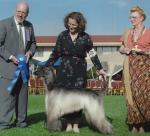 Thumbnail of Perfections Parisian Holiday