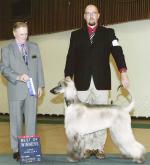 Thumbnail of Perfection Cheria Electric Ice