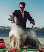 Thumbnail of Cheri-A-Elmo Iceman Perfection